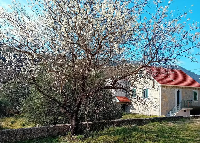 Josipa Apartment *